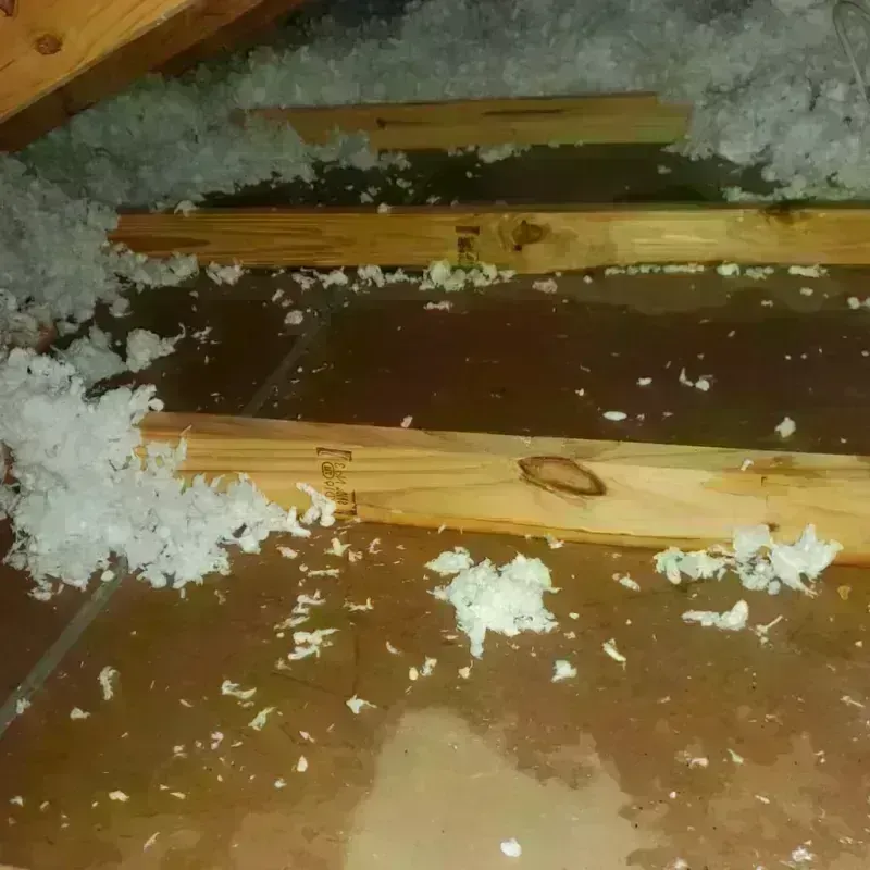 Attic Water Damage in Erwin, TN